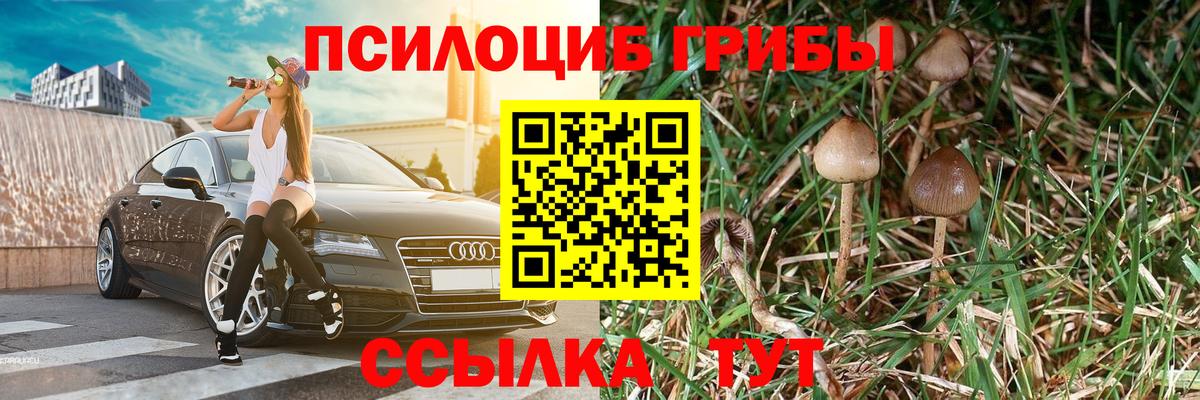 Псилоцибиновые грибы ЛСД Югорск